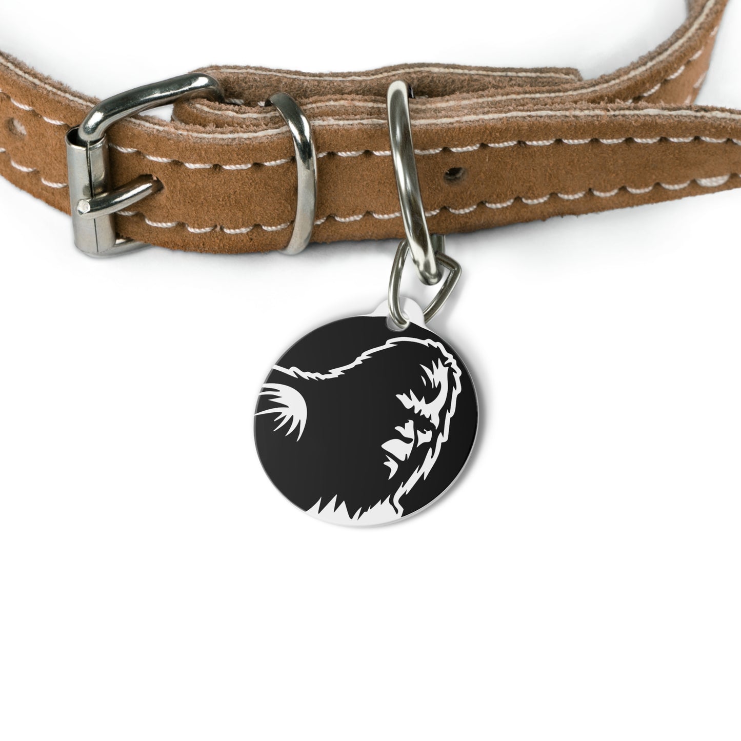 Pet Tag